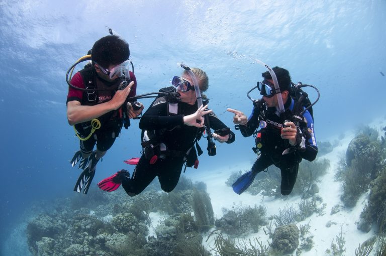 A DM candidate scuba diving with two other scuba divers under the water in full scuba gear