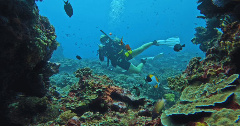 Scuba diver shown with scuba fins and scuba mask swimming underwater