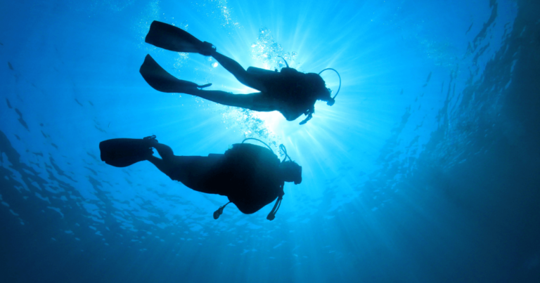 A shot from below of two scuba divers drift diving